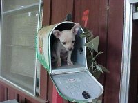You've got mail.jpg