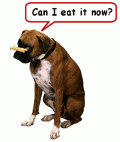 dog can I eat it now.gif