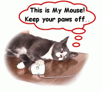 cat and mouse.gif