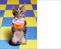 Hb Kitty With A Cupcake.jpg