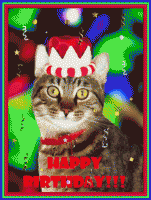Happy+birthday+cat.gif