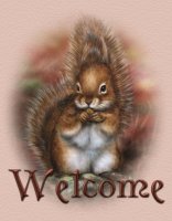 welcome squirrel.jpg
