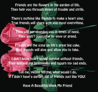 8_quotes_of friendship.gif