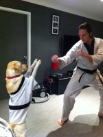 angel blk belt.jpg angel blk belt.jpg