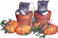 TG-Kittens-Pumpkins.jpg