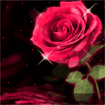 perfect rose for ss.gif