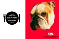 bulldogjoke.jpg