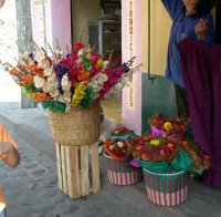 tepozteco flowers.jpg