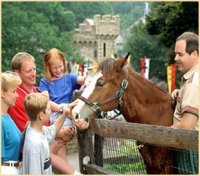 clydesdales.jpg