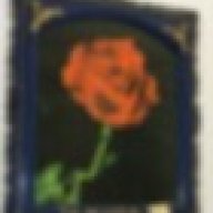 RED ROSE