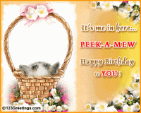 Happy Birthday with A Kitty.gif