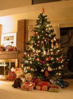 Christmas Cat  Tree.jpg