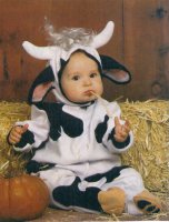 baby moo.JPG