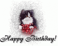 birthday kitty.gif