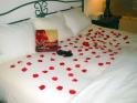ss rose covered bed.jpg