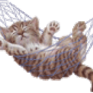 Fio