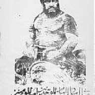 narayena443
