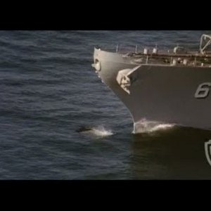 Under Siege